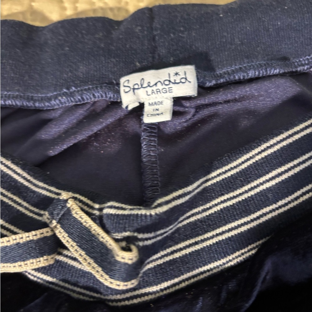 Splendid Navy Velvet Pants - Picture 2 of 3